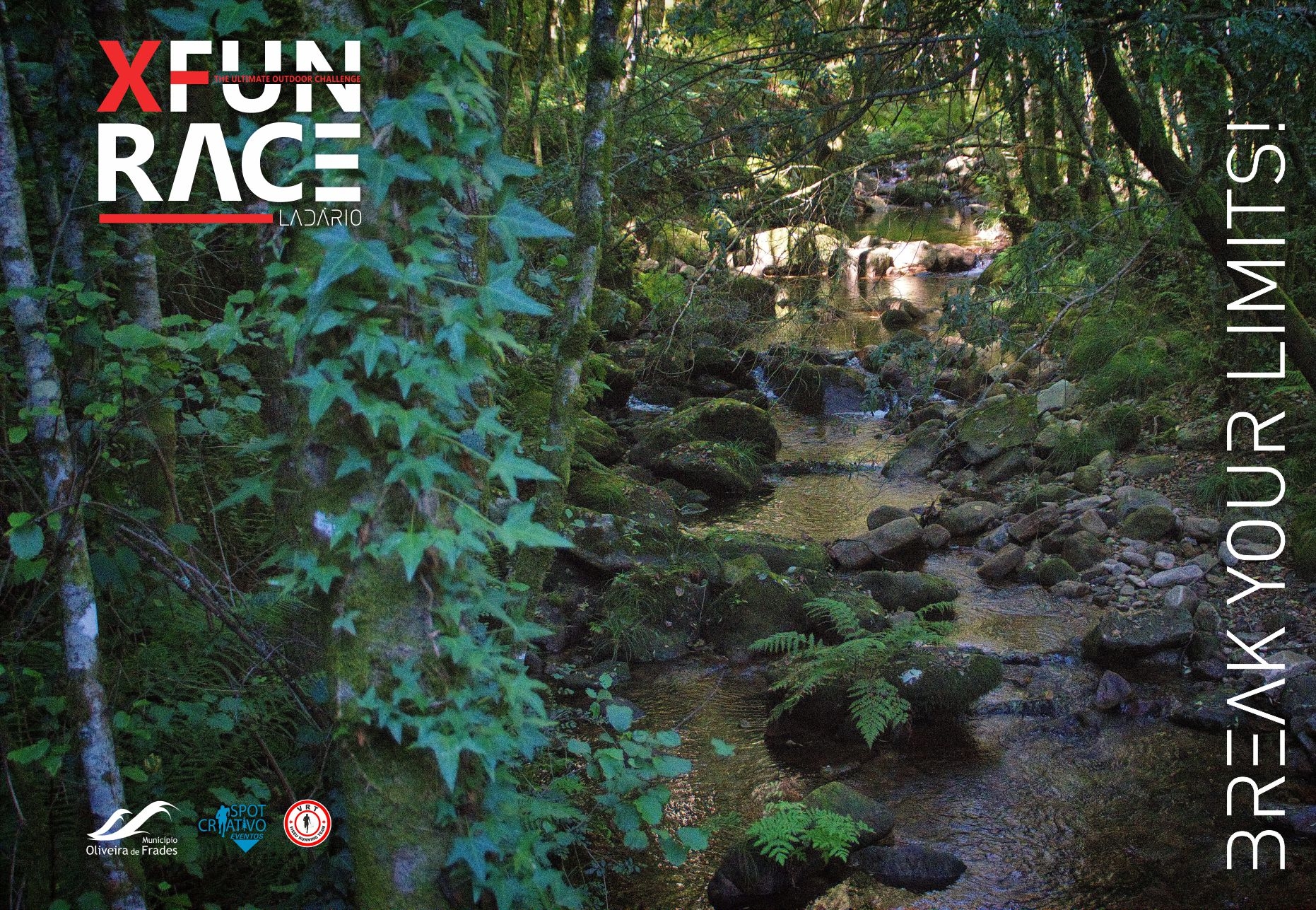 LADÁRIO FUN RACE image