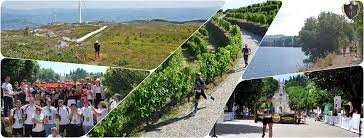 LAMECUM TRAIL 2020 image