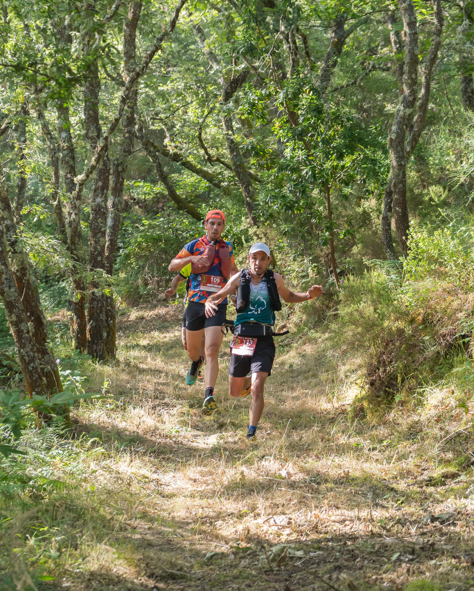 LAMECUM TRAIL 2026 image