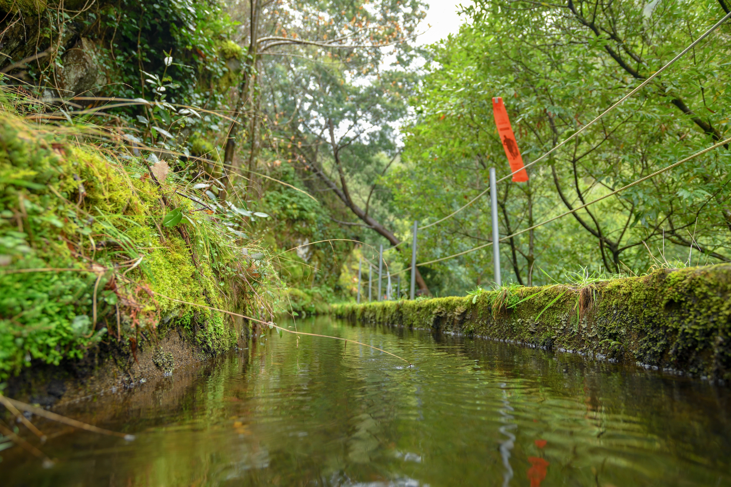 LOUZANTRAIL 2020 image