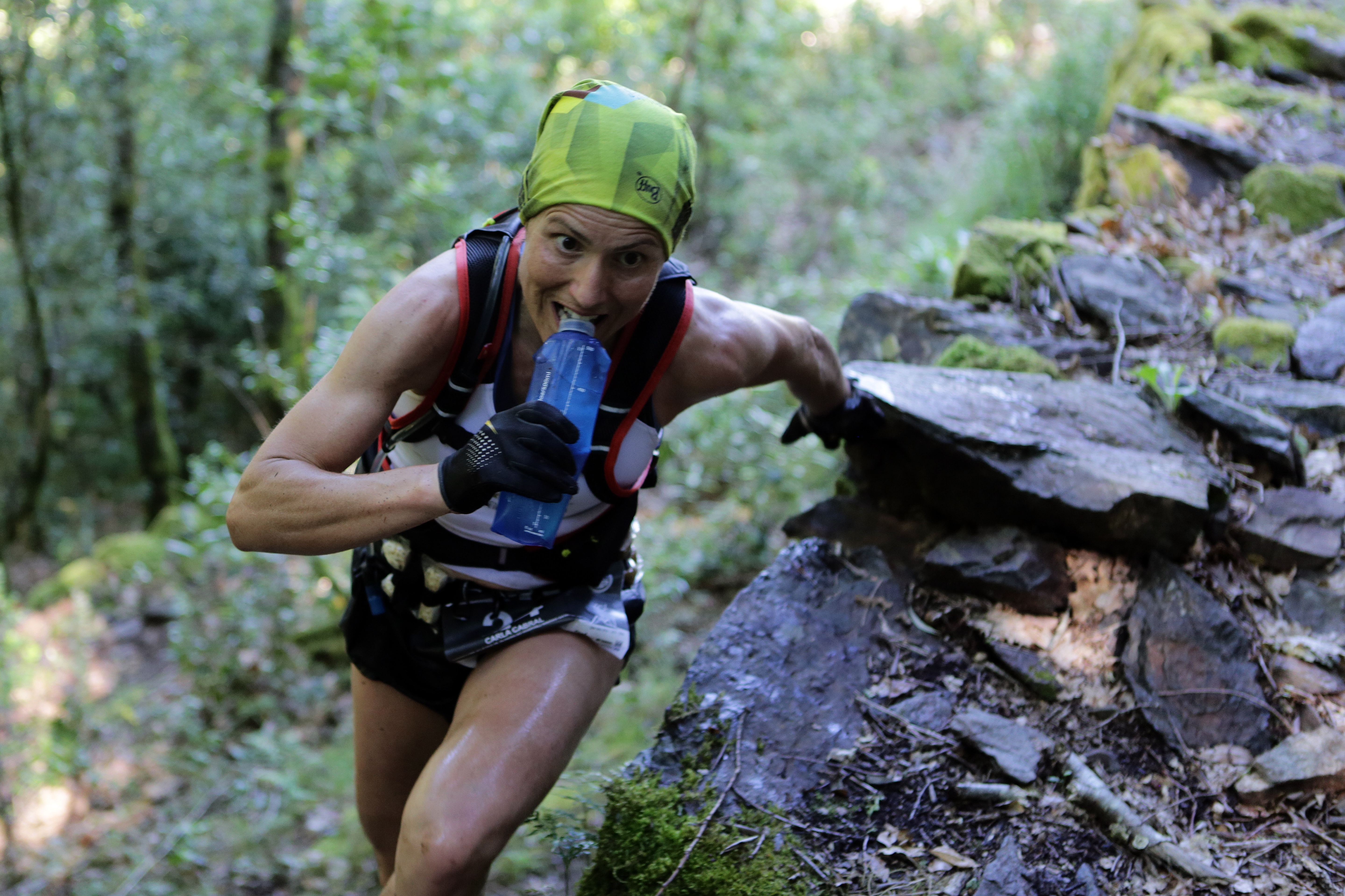 LOUZANTRAIL 2017 image