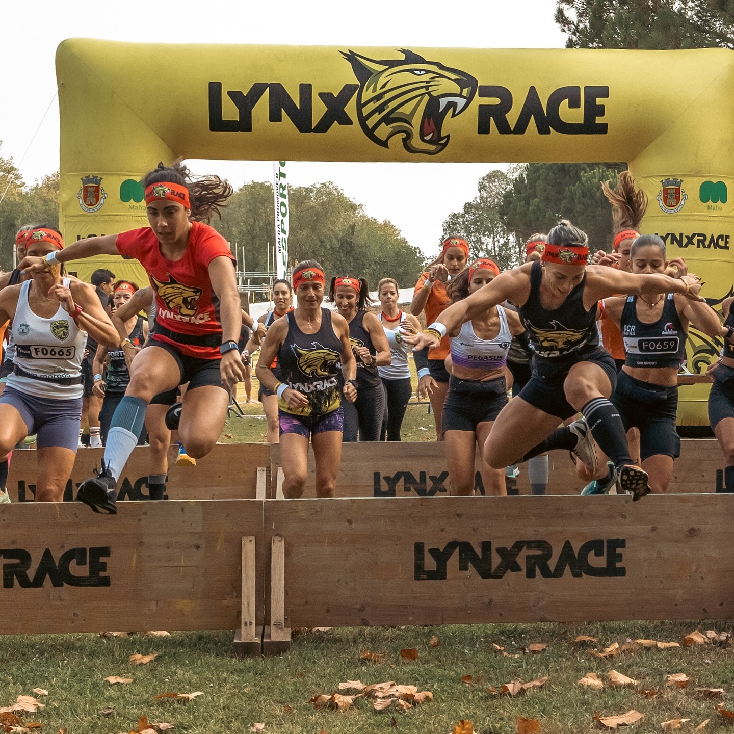 LYNXRACE VOUZELA 2026 image