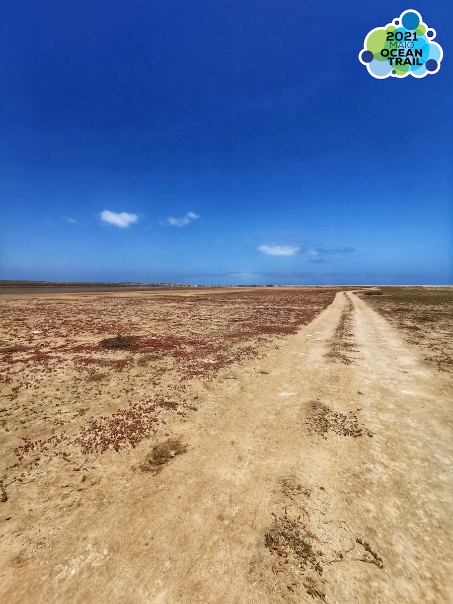 Maio Ocean Trail 2021 image