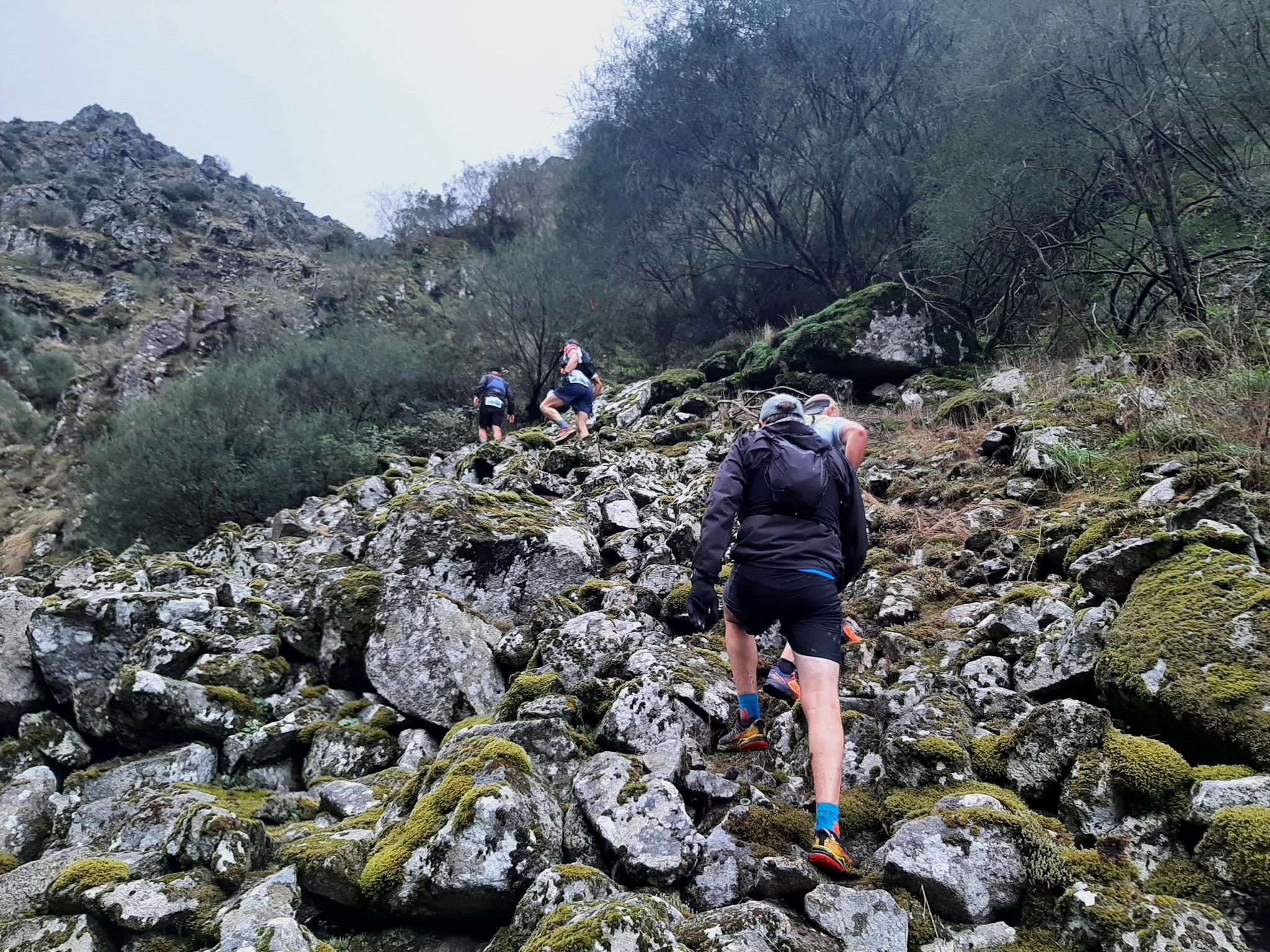 Meia maratona Zemou 2024 image