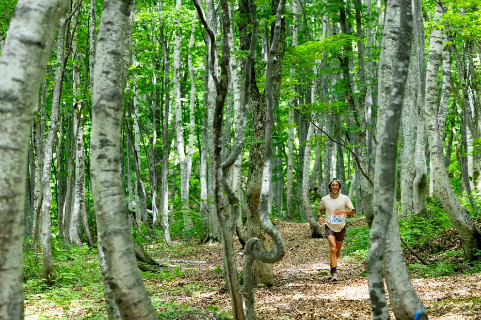 MYOTO TRAIL 2026 image