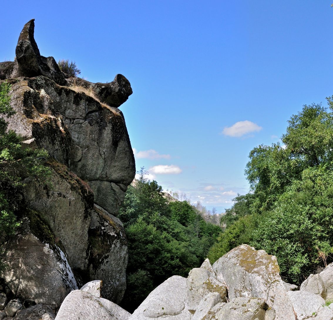 PASSEIO PEDESTRE GF SERRA DA ESTRELA 2022 image