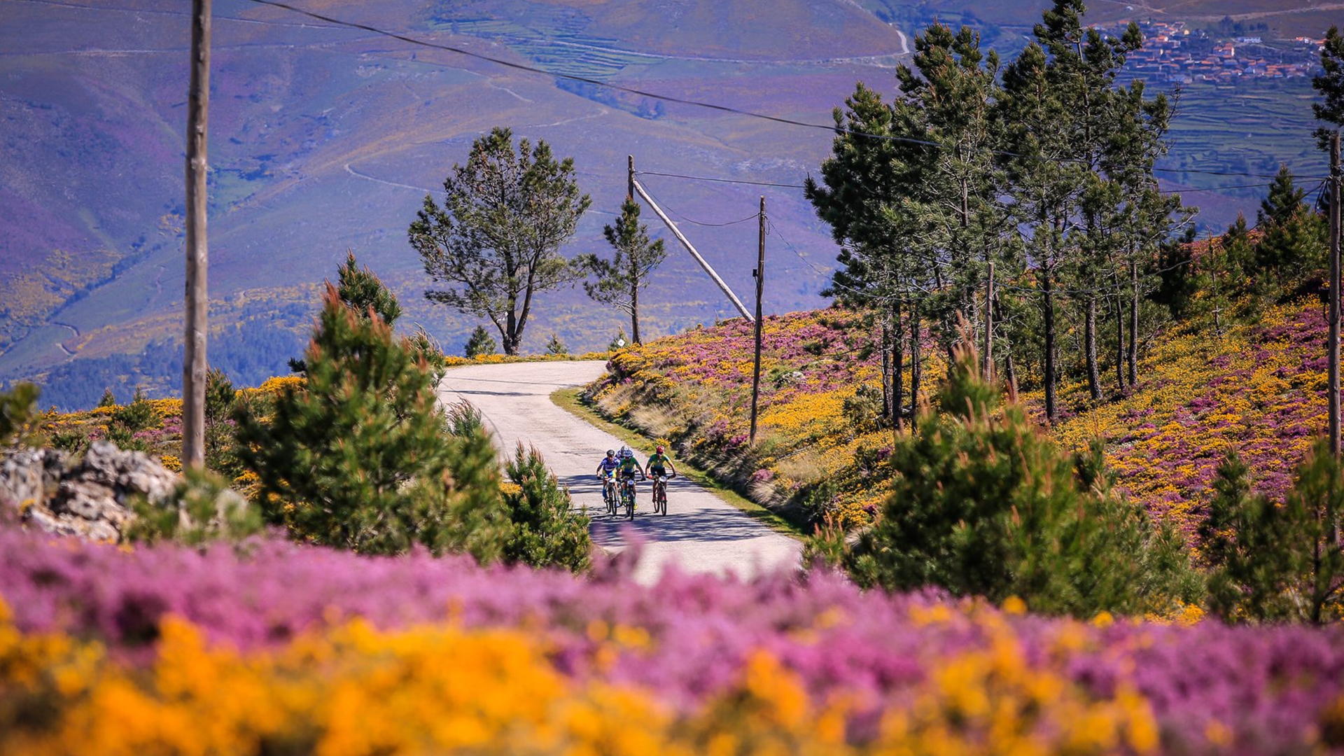 Portugal MTB 2020 image