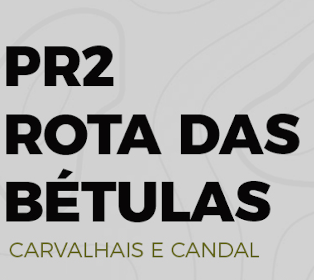 Logótipo de 