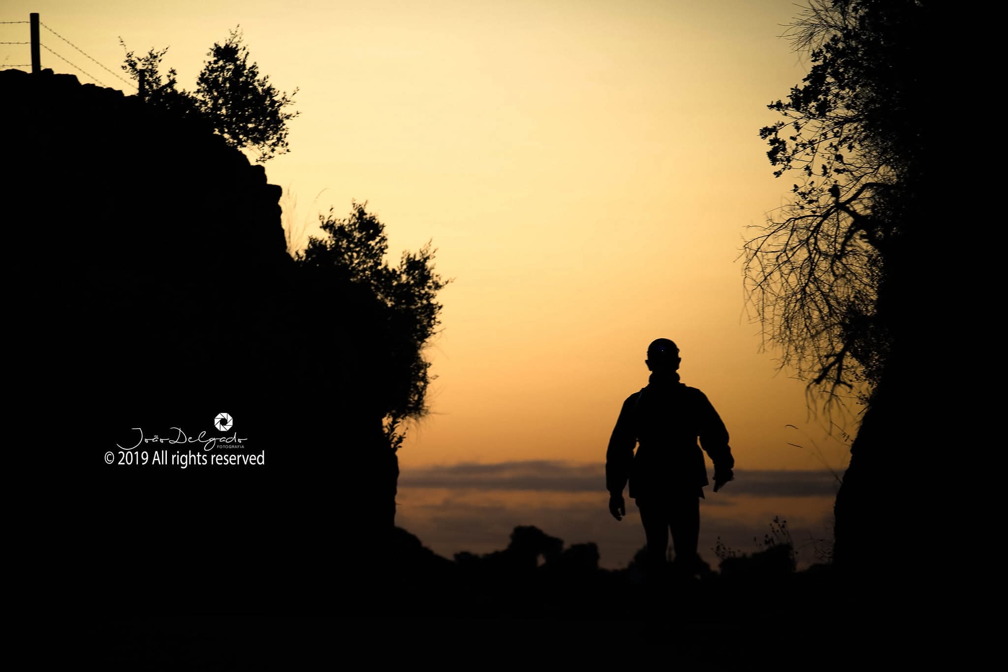 PT281® Ultramarathon 2026 image