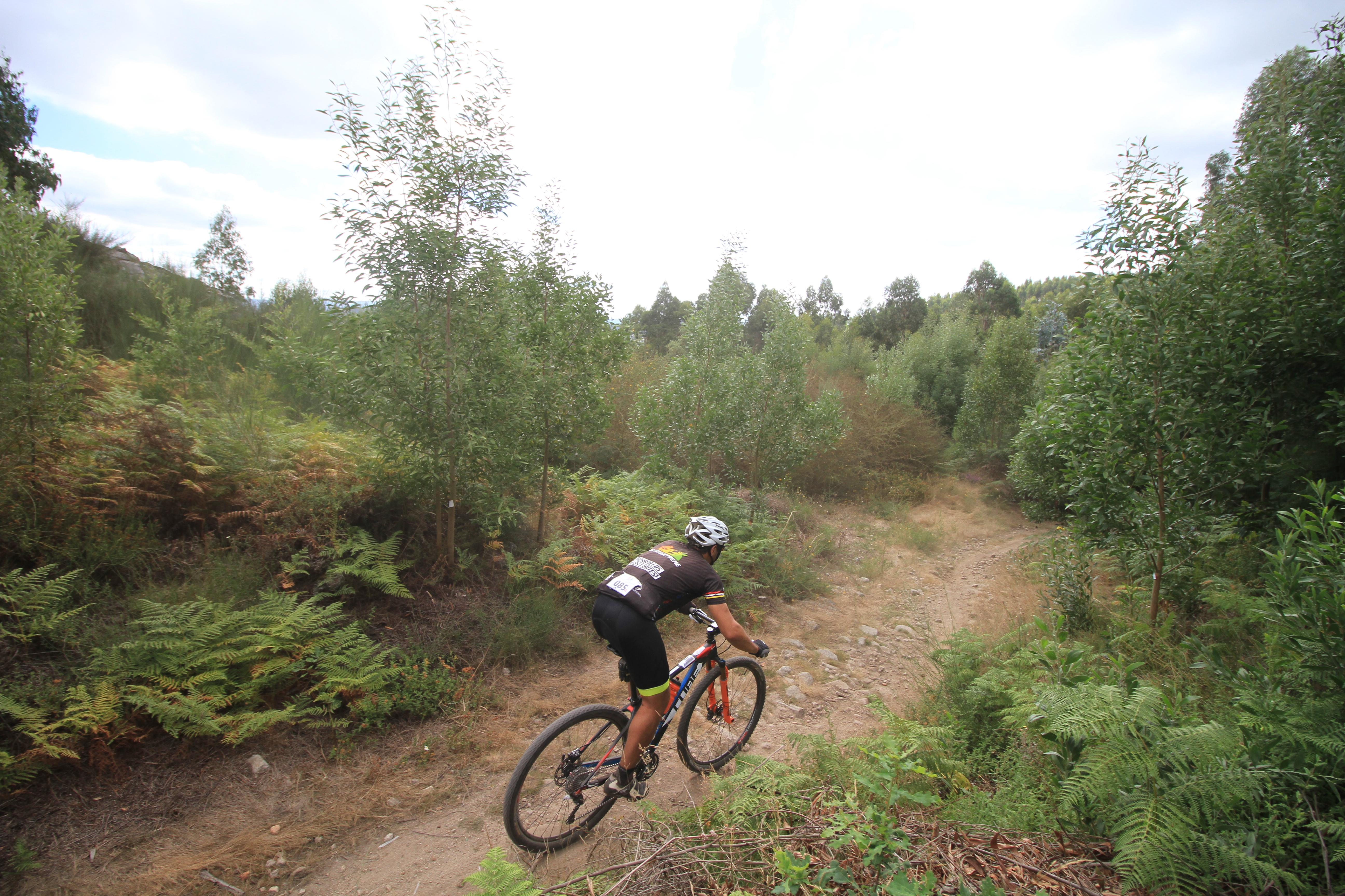 Raid BTT Junqueira image
