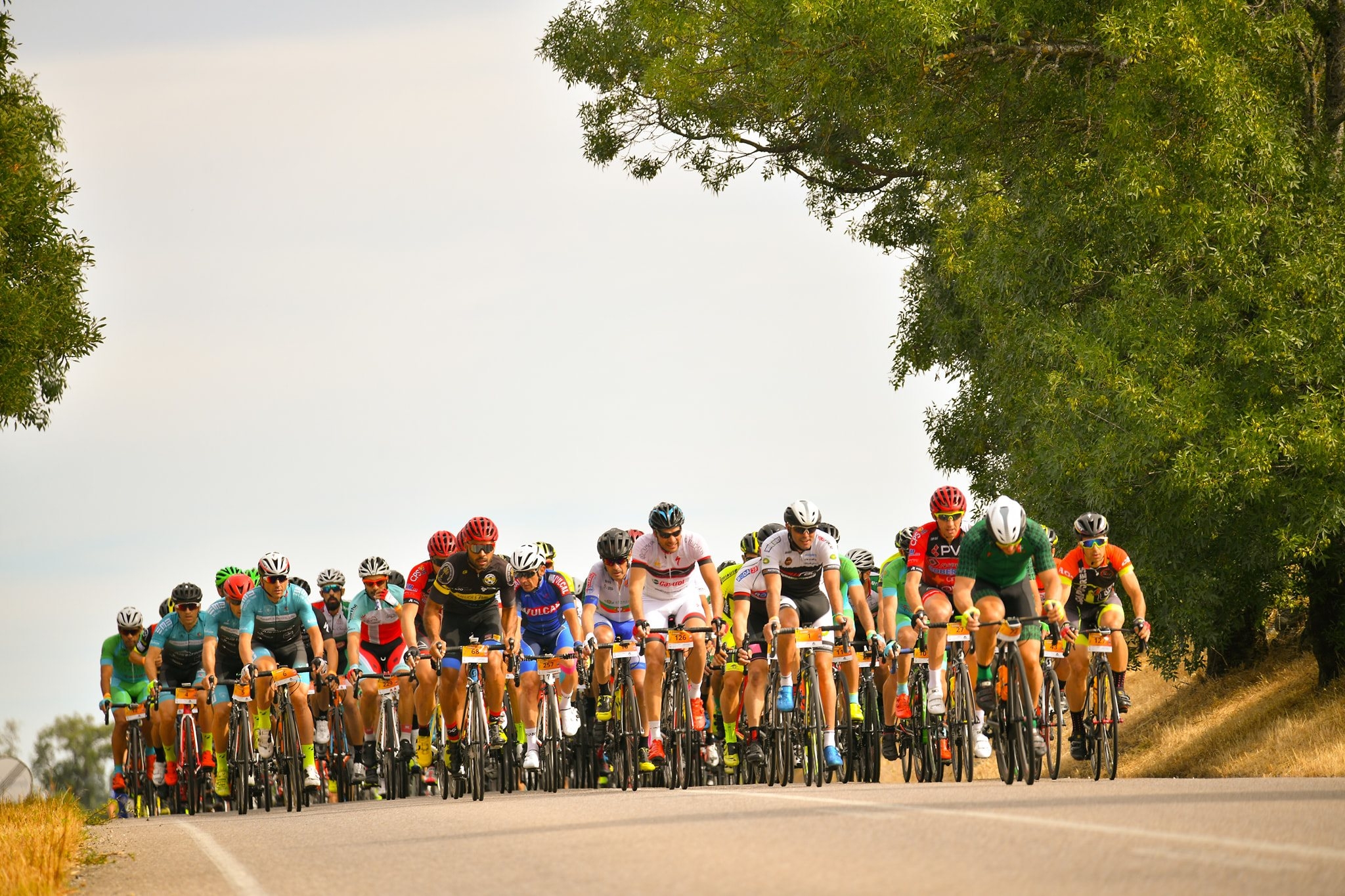 SÃO MAMEDE GRANFONDO 2022 image