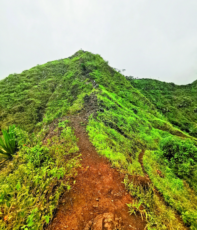 Santo Antão Triangle Trail (SATT) 2021 image