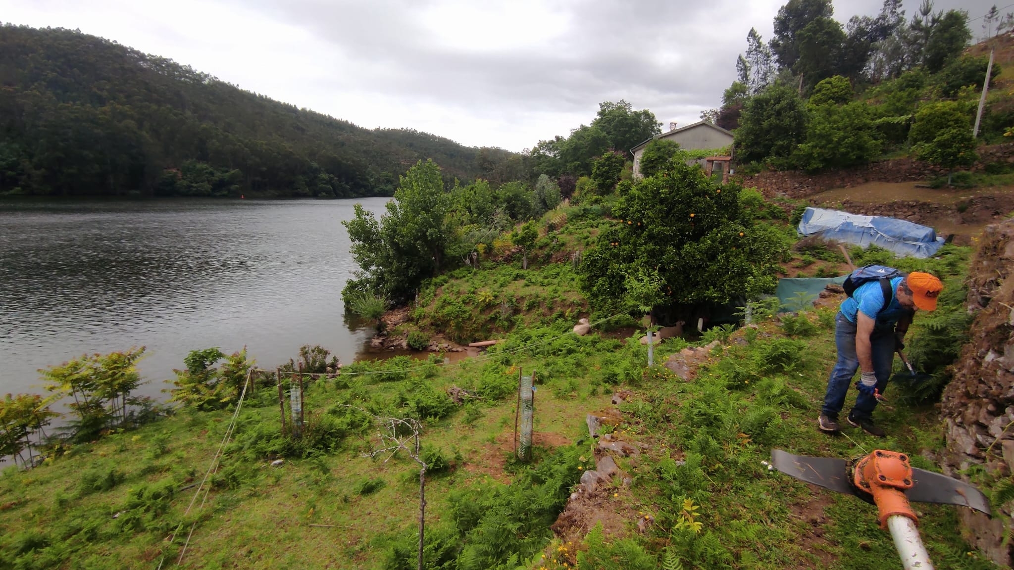 Trail da Lomba 2024 image