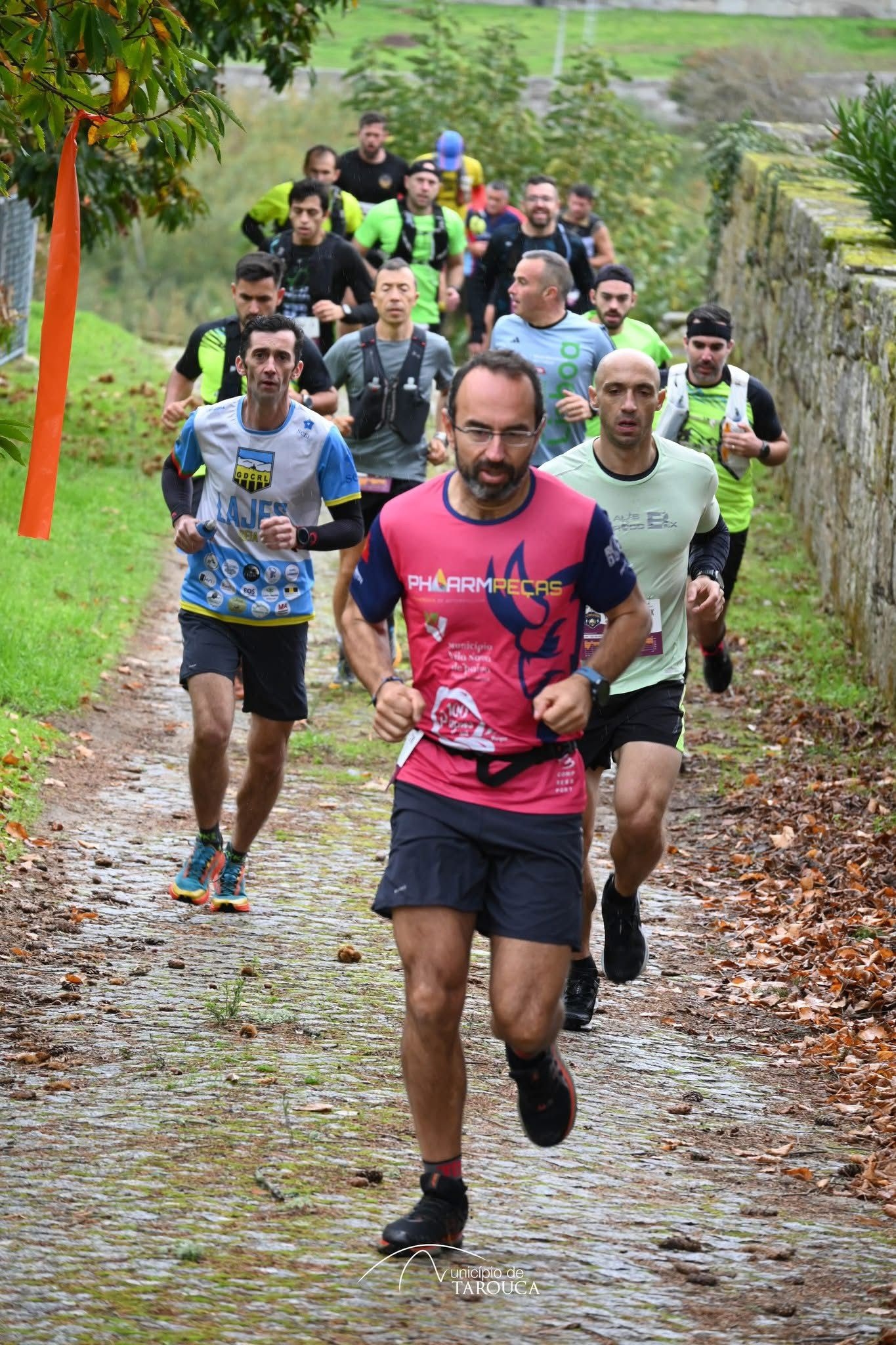 Trail do Sino e da Castanha 2025 image