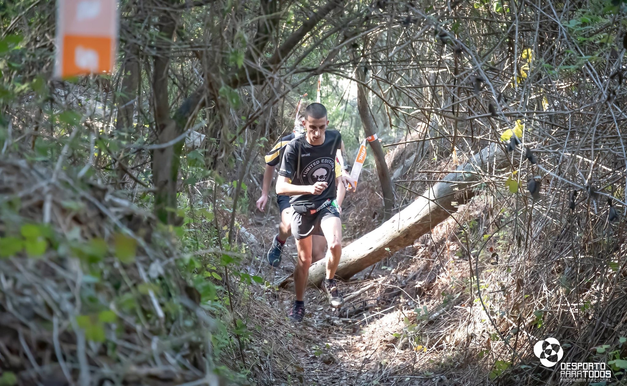 TRAIL DO TEXUGO 2023 - SPORT HG image