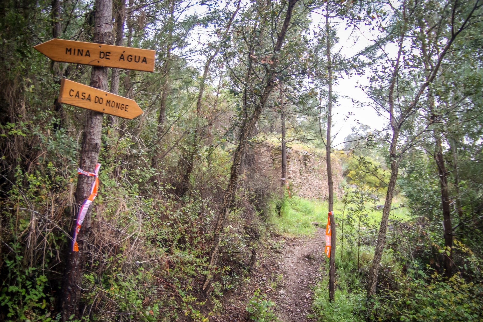 Trail do Texugo 2022 - ARCh MAX image