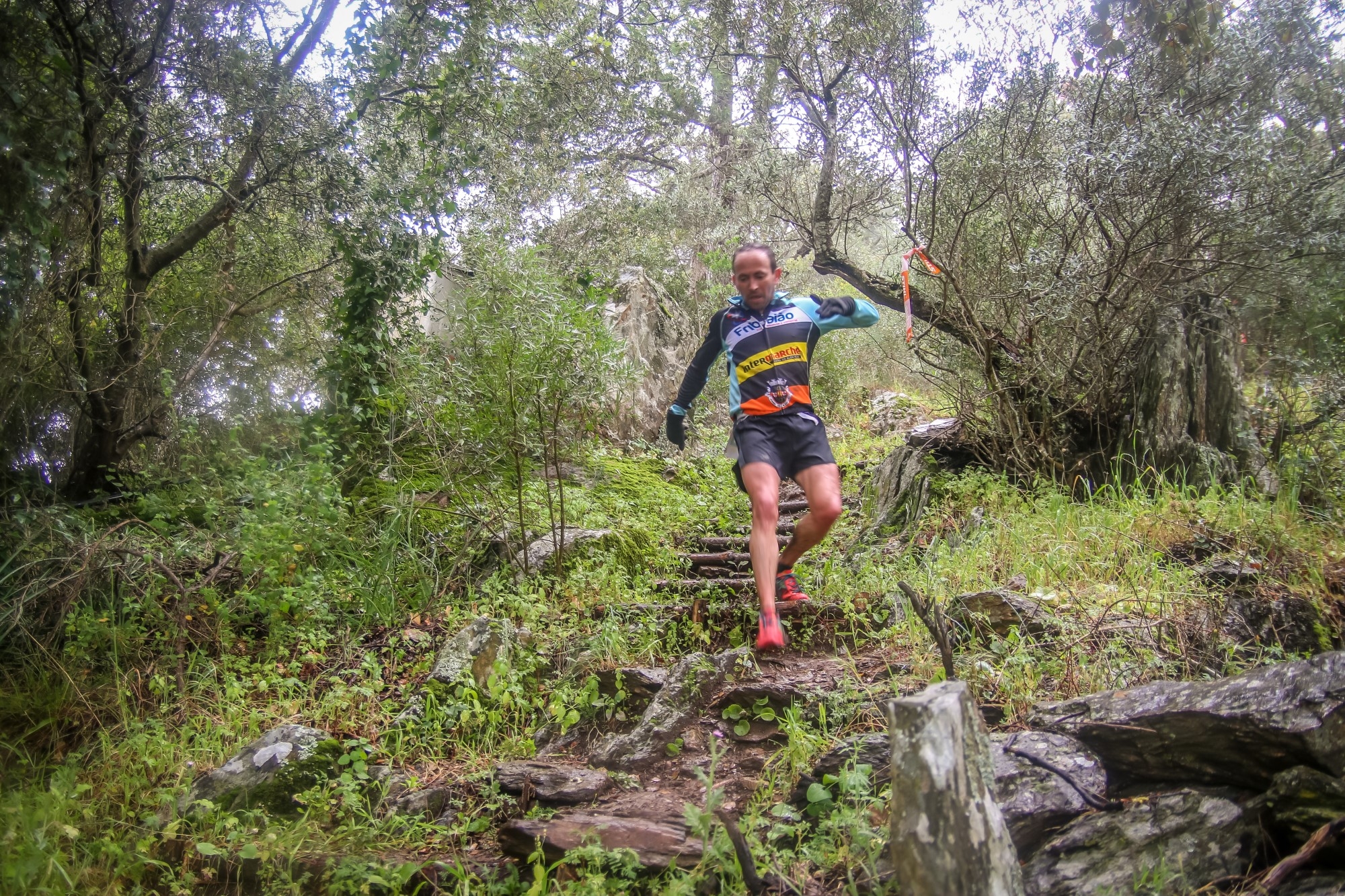 Trail do Texugo 2022 - ARCh MAX image