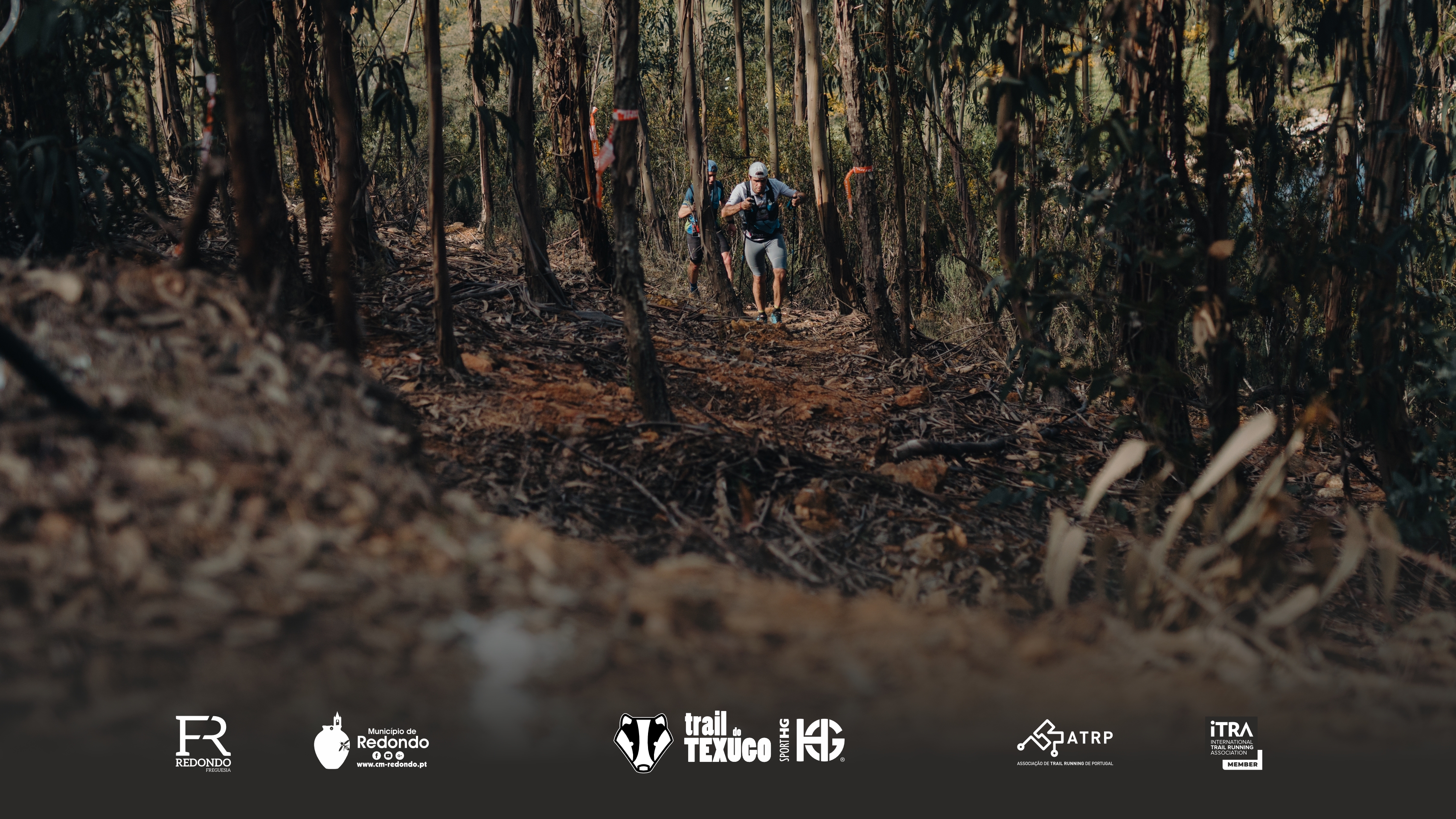 TRAIL DO TEXUGO 2024 - SPORT HG image