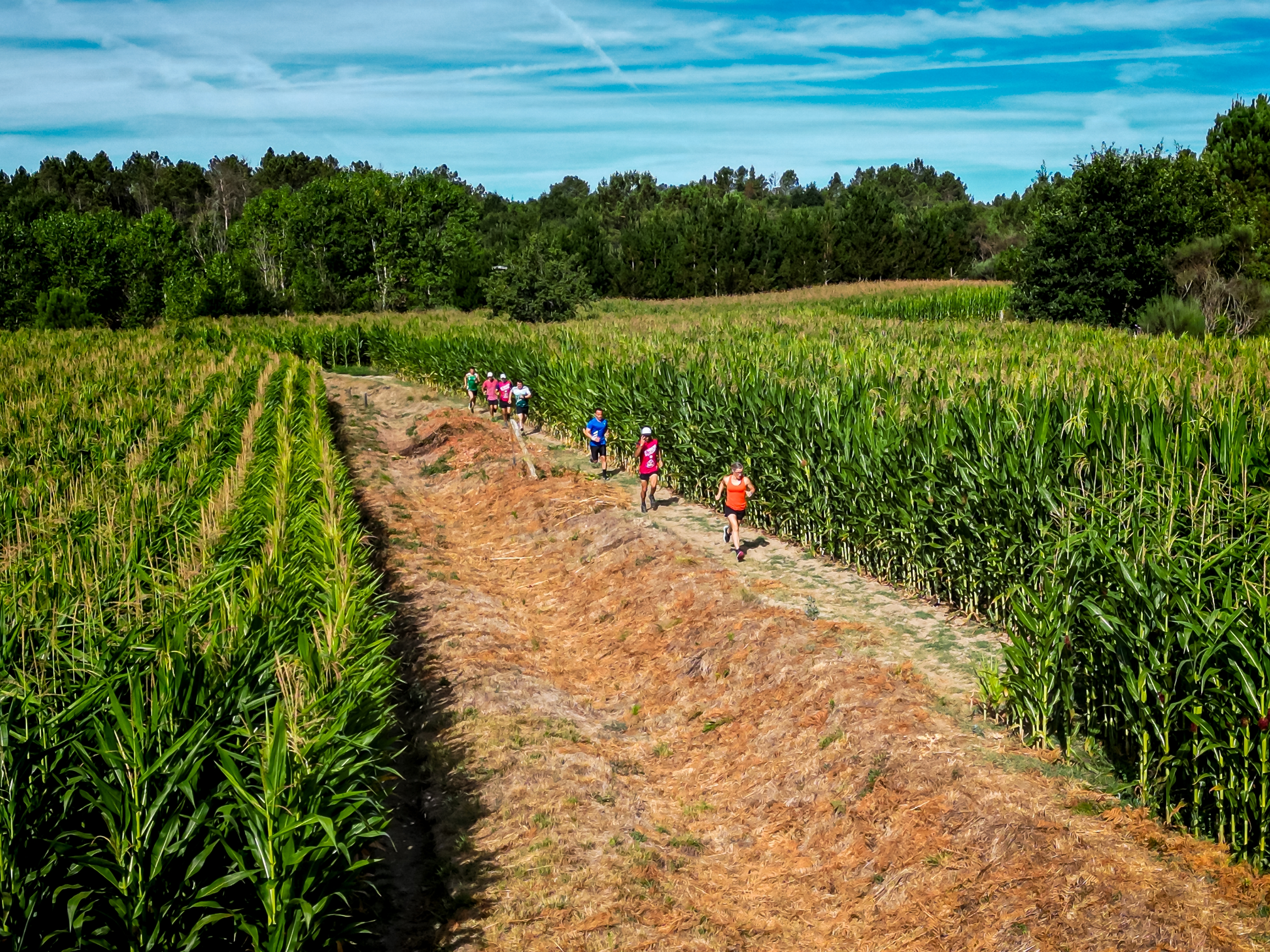 Trail do Trabulo 2023 image