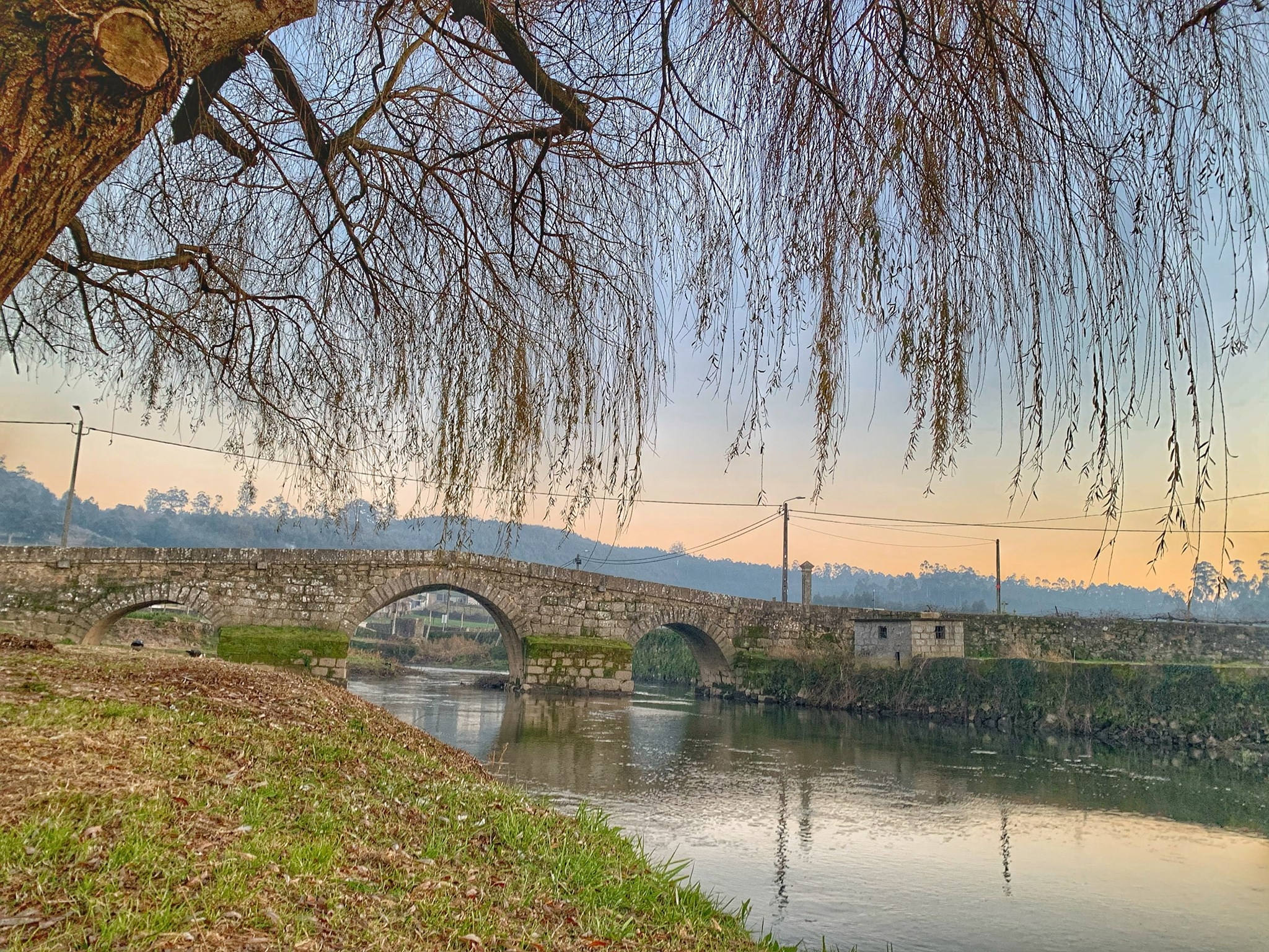 TRAIL ESTE ROMANICO 2022 image