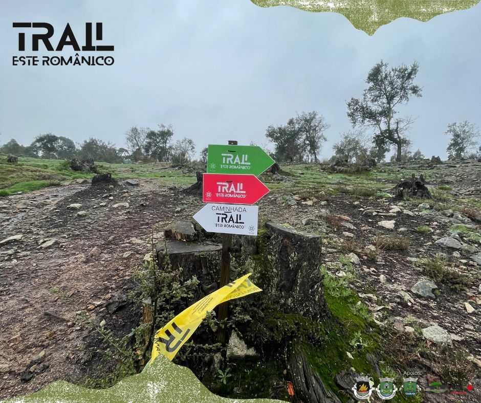 TRAIL ESTE ROMANICO 2023 image