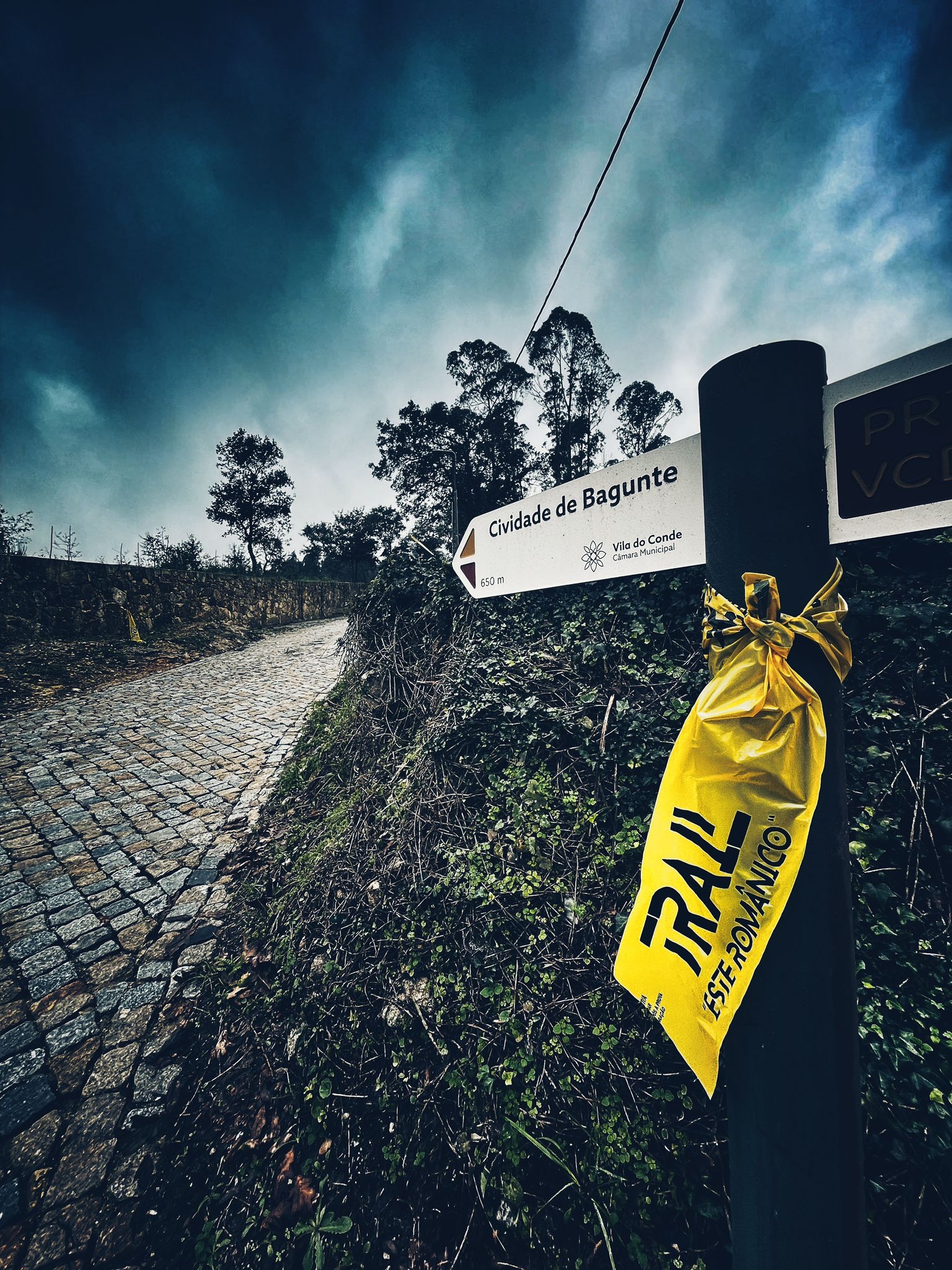 TRAIL ESTE ROMANICO 2024 image