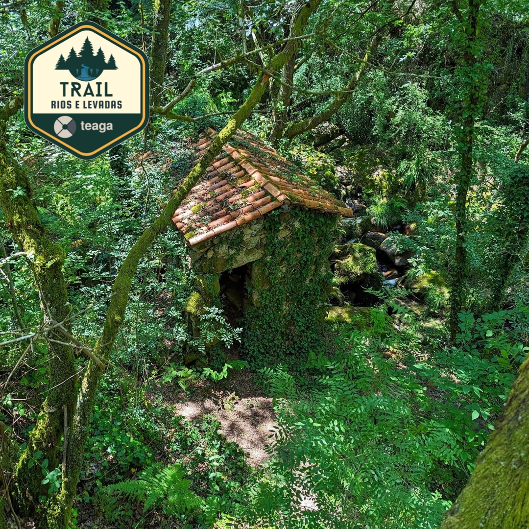 Trail Rios e Levadas Teaga Aventura 2025 image
