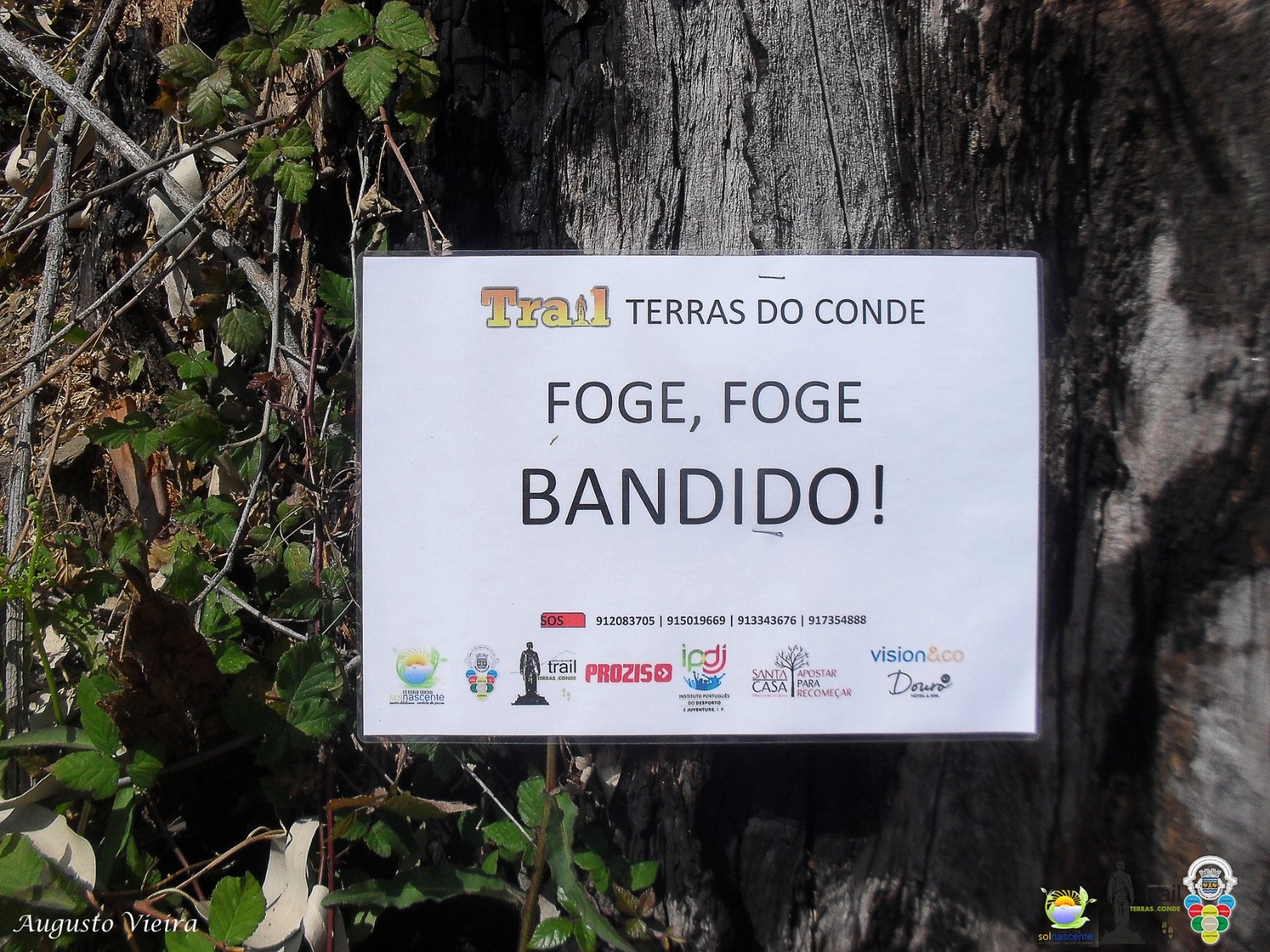 TRAIL TERRAS DO CONDE 2022 image