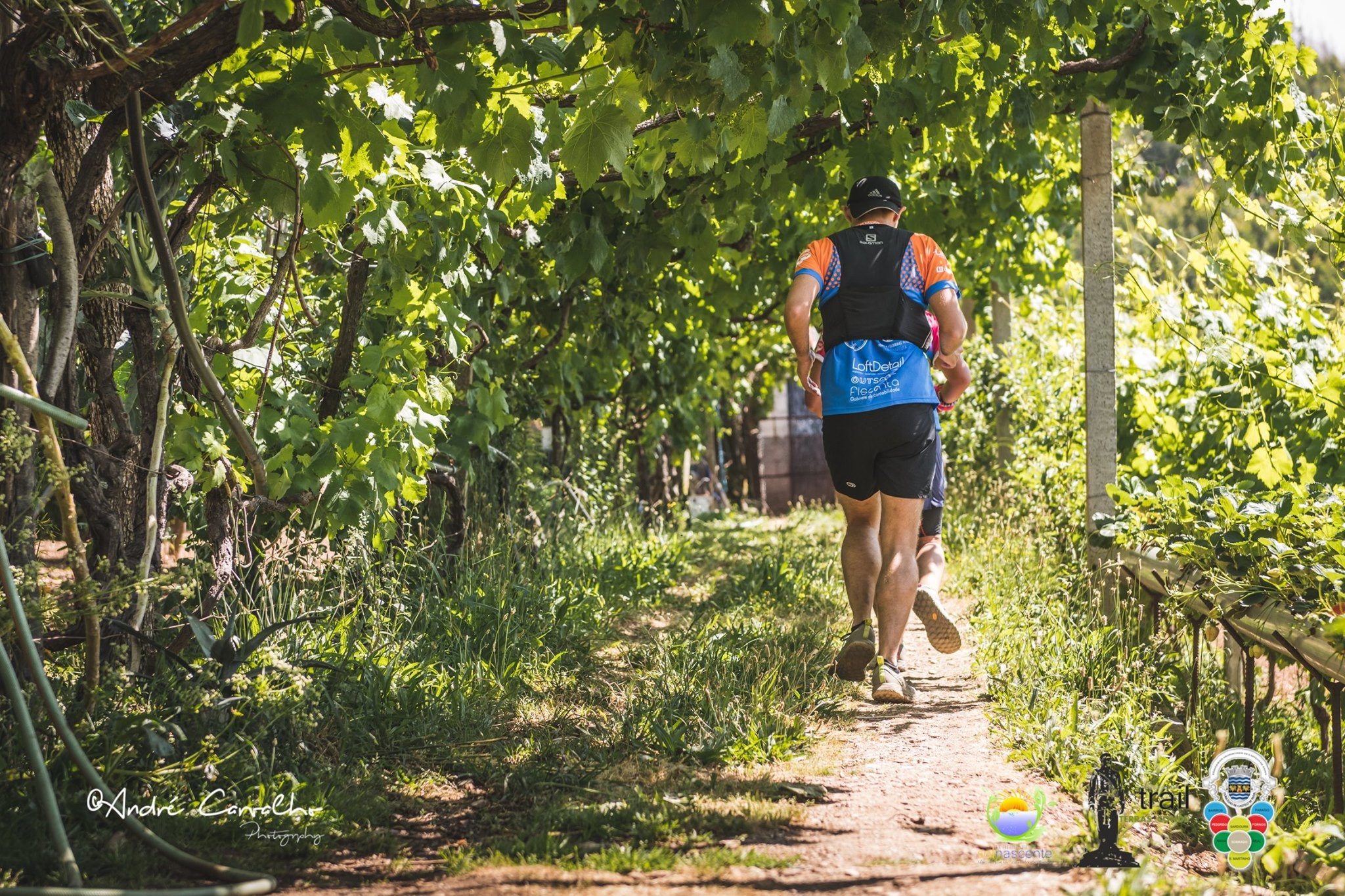 TRAIL TERRAS DO CONDE 2022 image