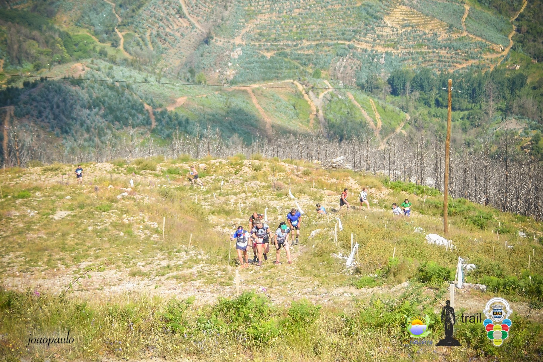 TRAIL TERRAS DO CONDE 2022 image