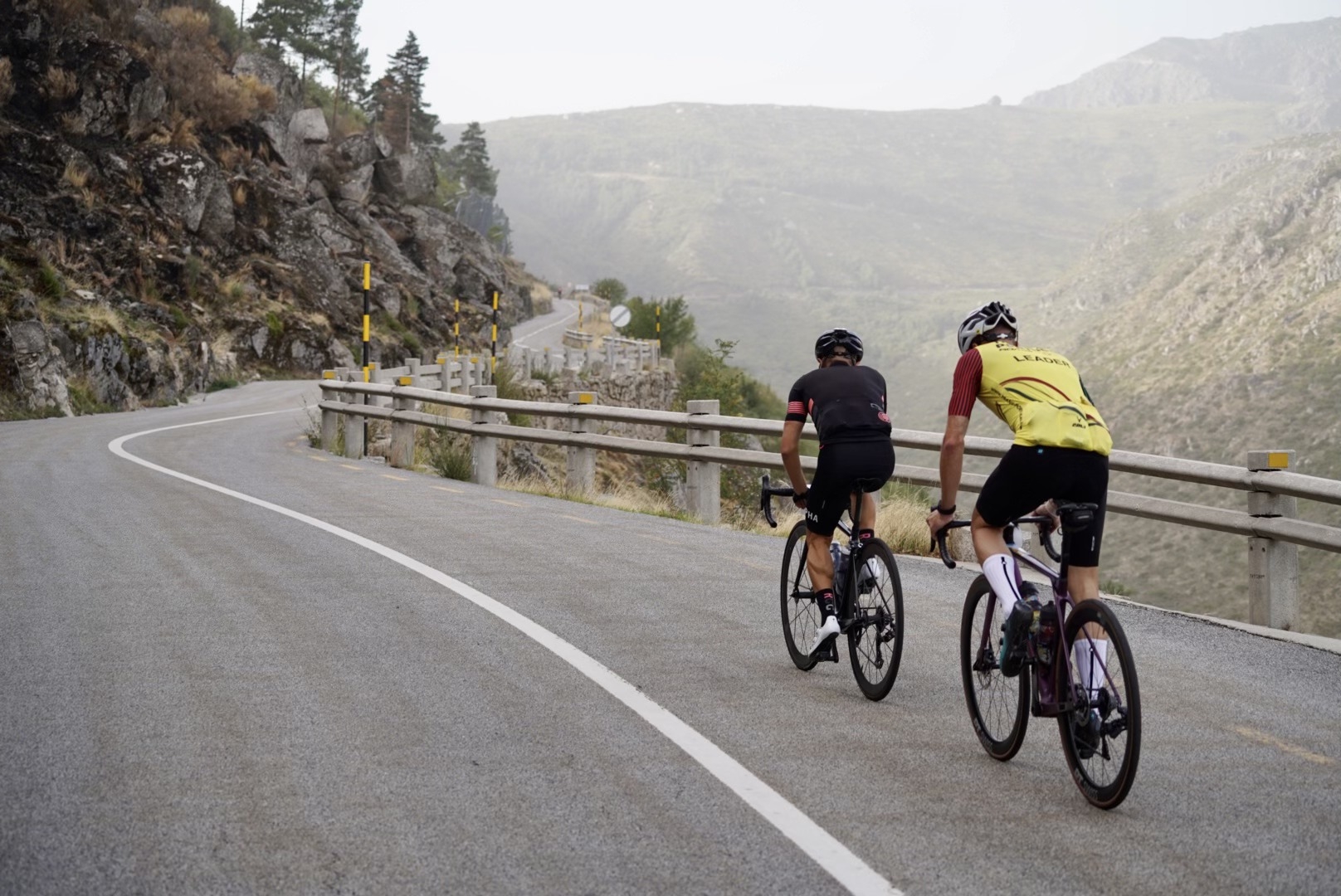 TRANSPORTUGAL ROADS 2024 image