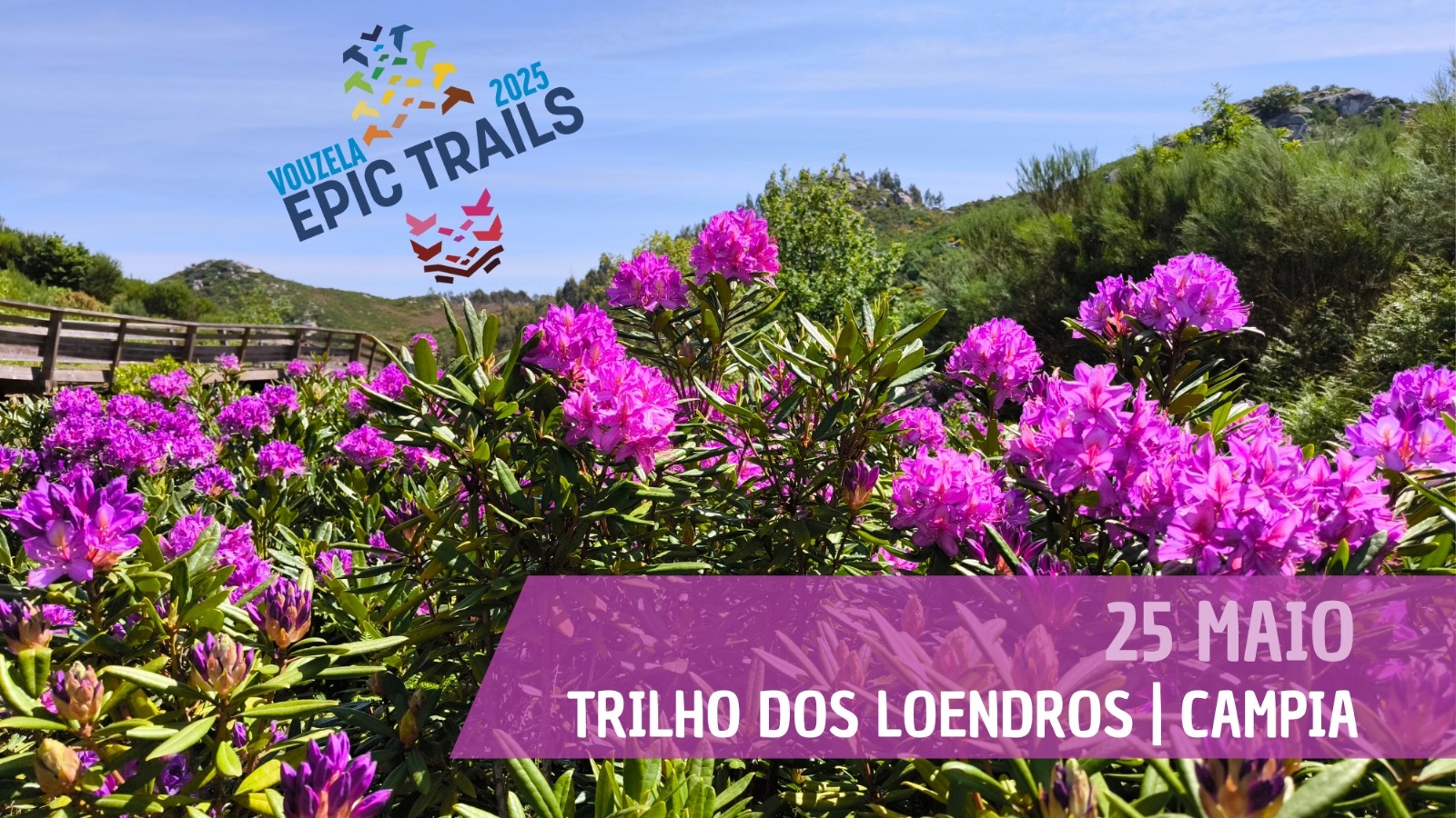 TRILHO DOS LOENDROS 2025 image