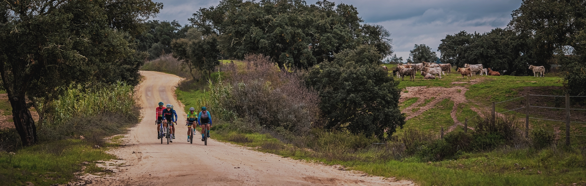 UCI Alentejo Gravel 2025 image