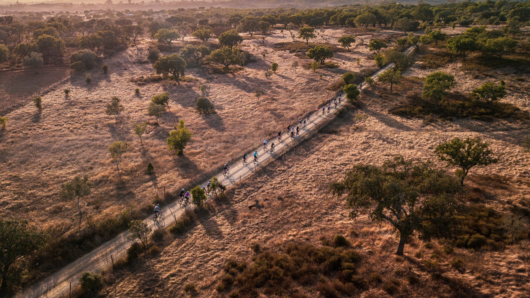 UCI Alentejo Gravel 2026 image