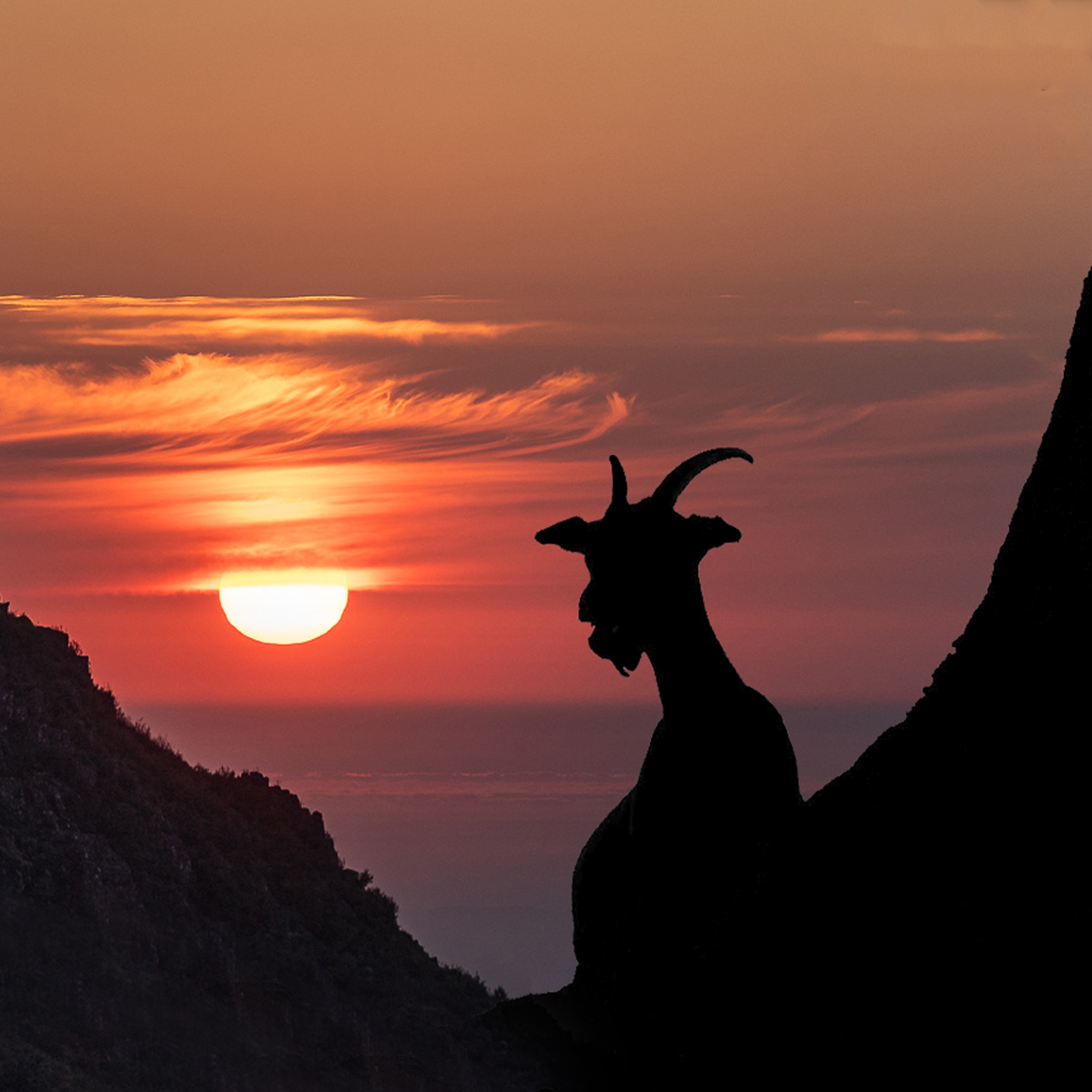 Ultra Trail Serra da Freita 2026