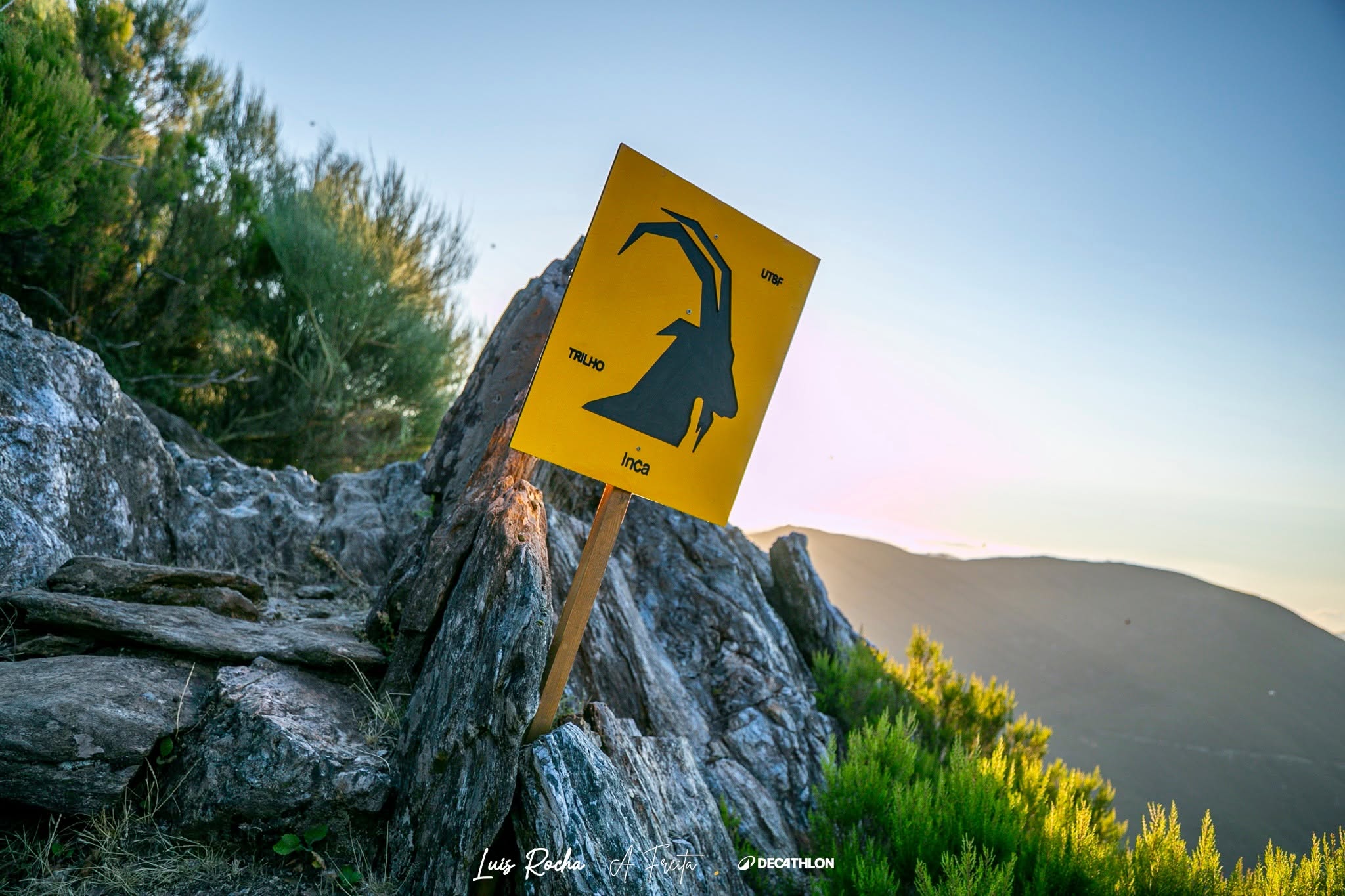Ultra Trail Serra da Freita 2027 image