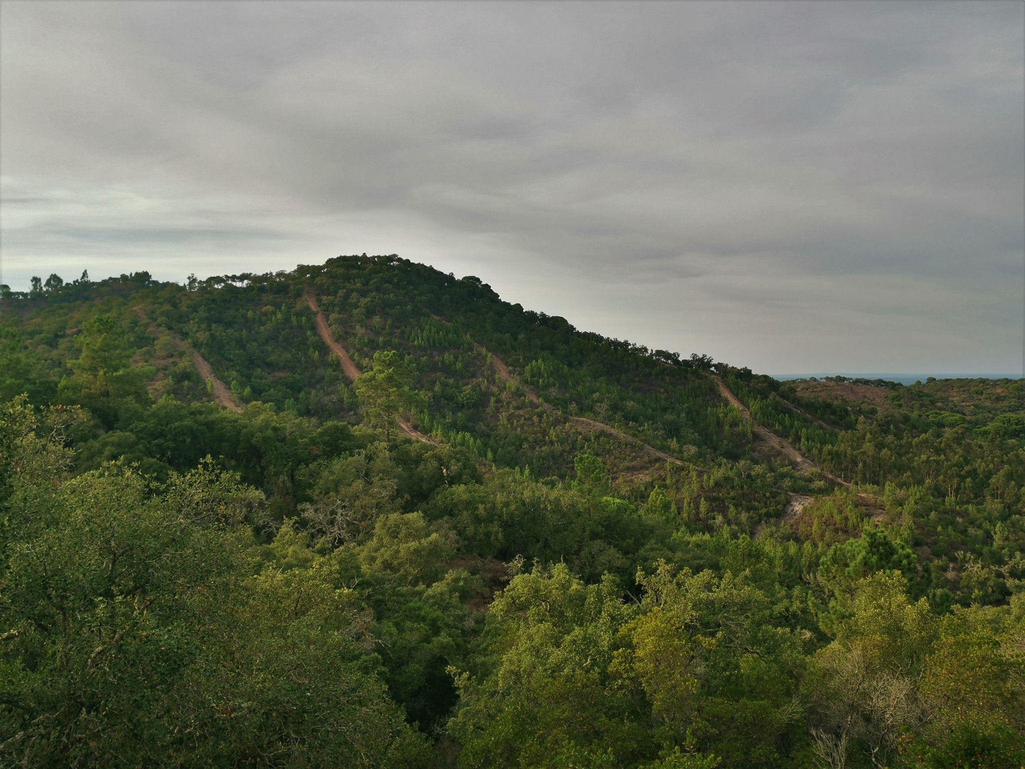 Ultra Trail Serra de Grândola 2025 image