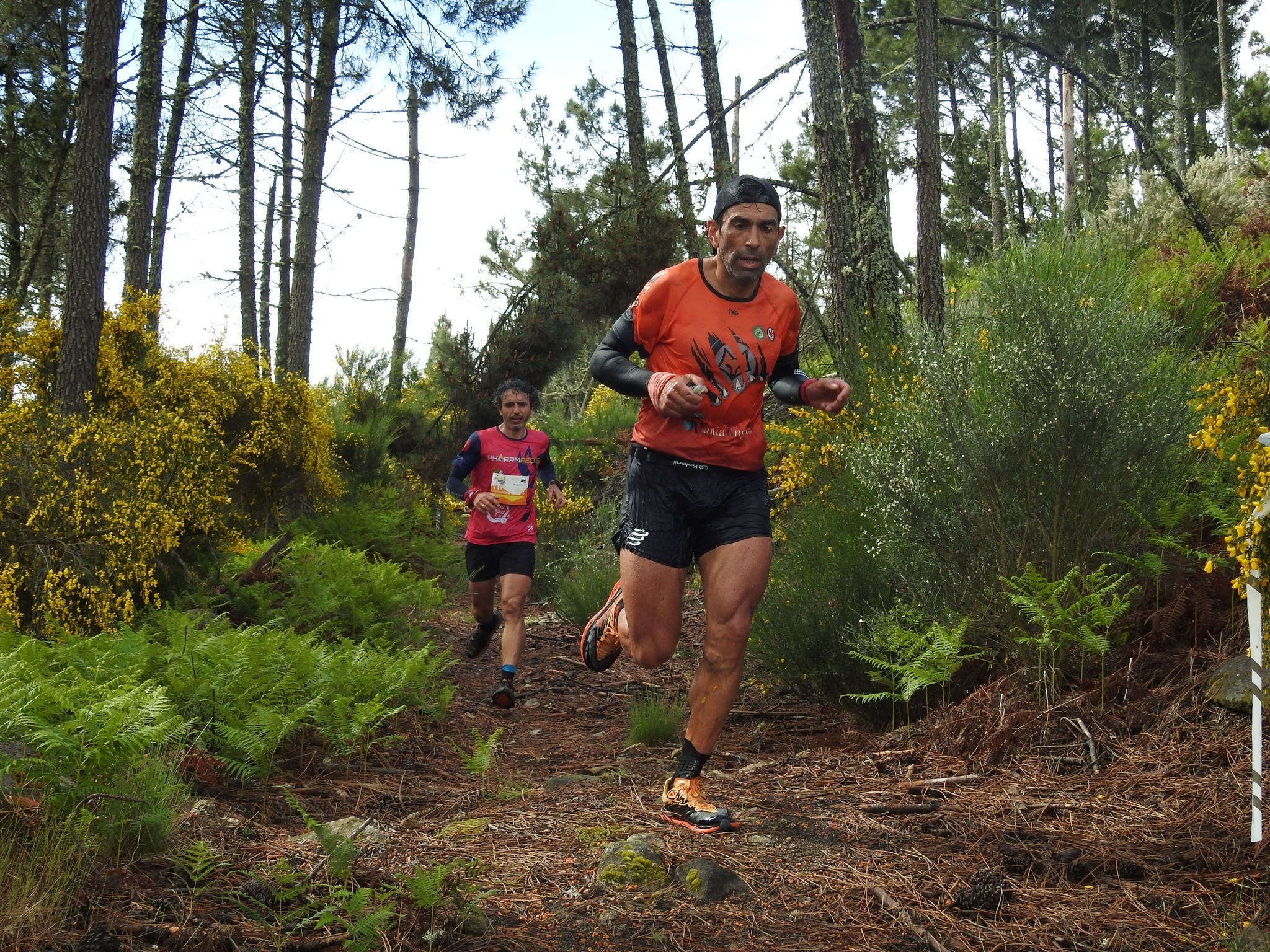 V Trail Rota do Varosa image