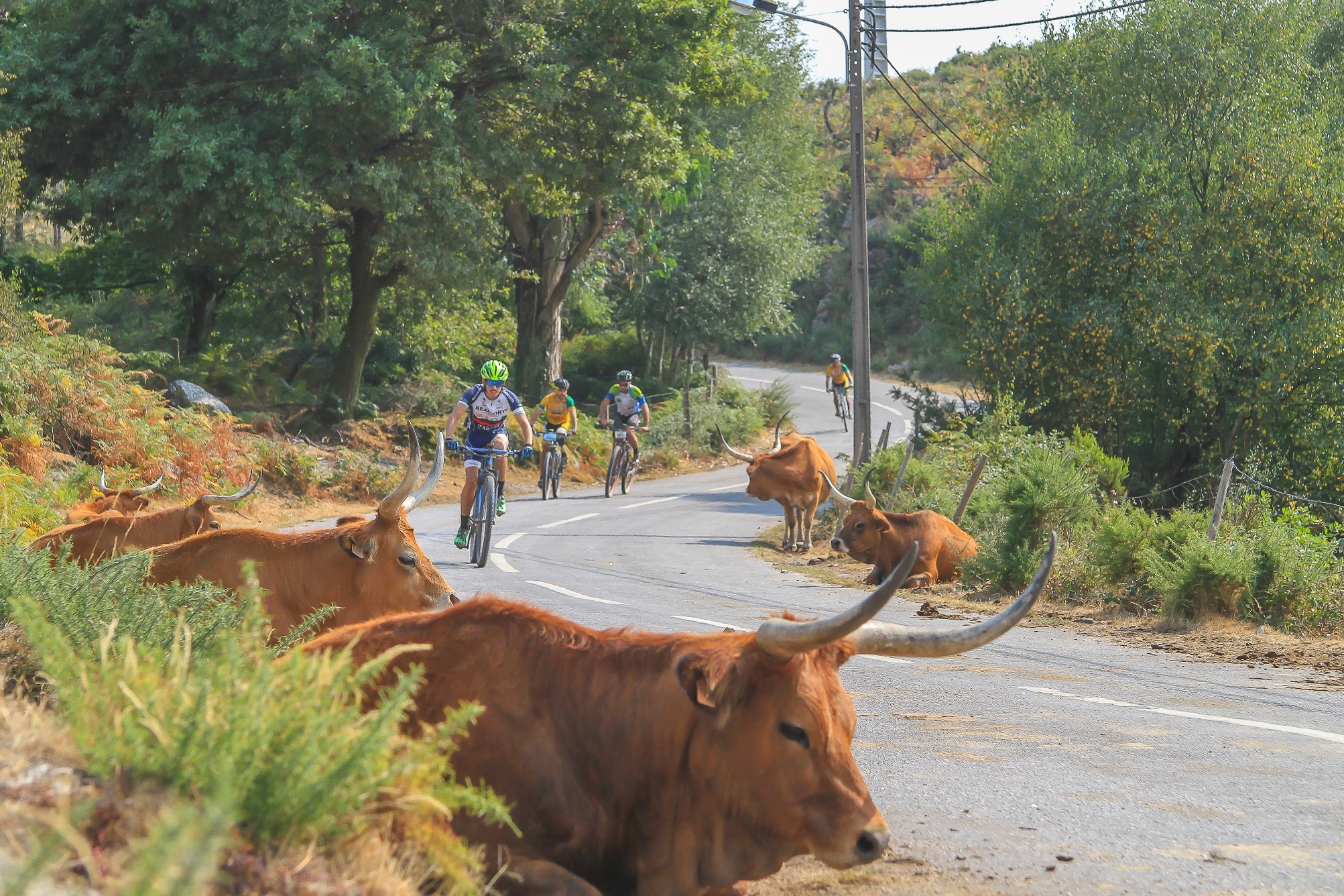 Vila do Conde Peneda-Gerês Extreme 2017 image