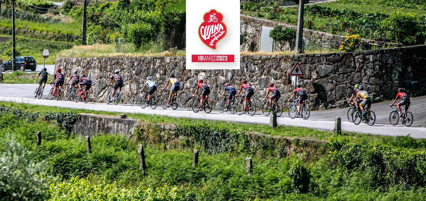 VIANA Granfondo 2023 image