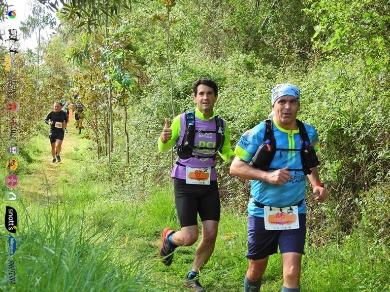 VII CROSS TRAIL SOURE 1111 image