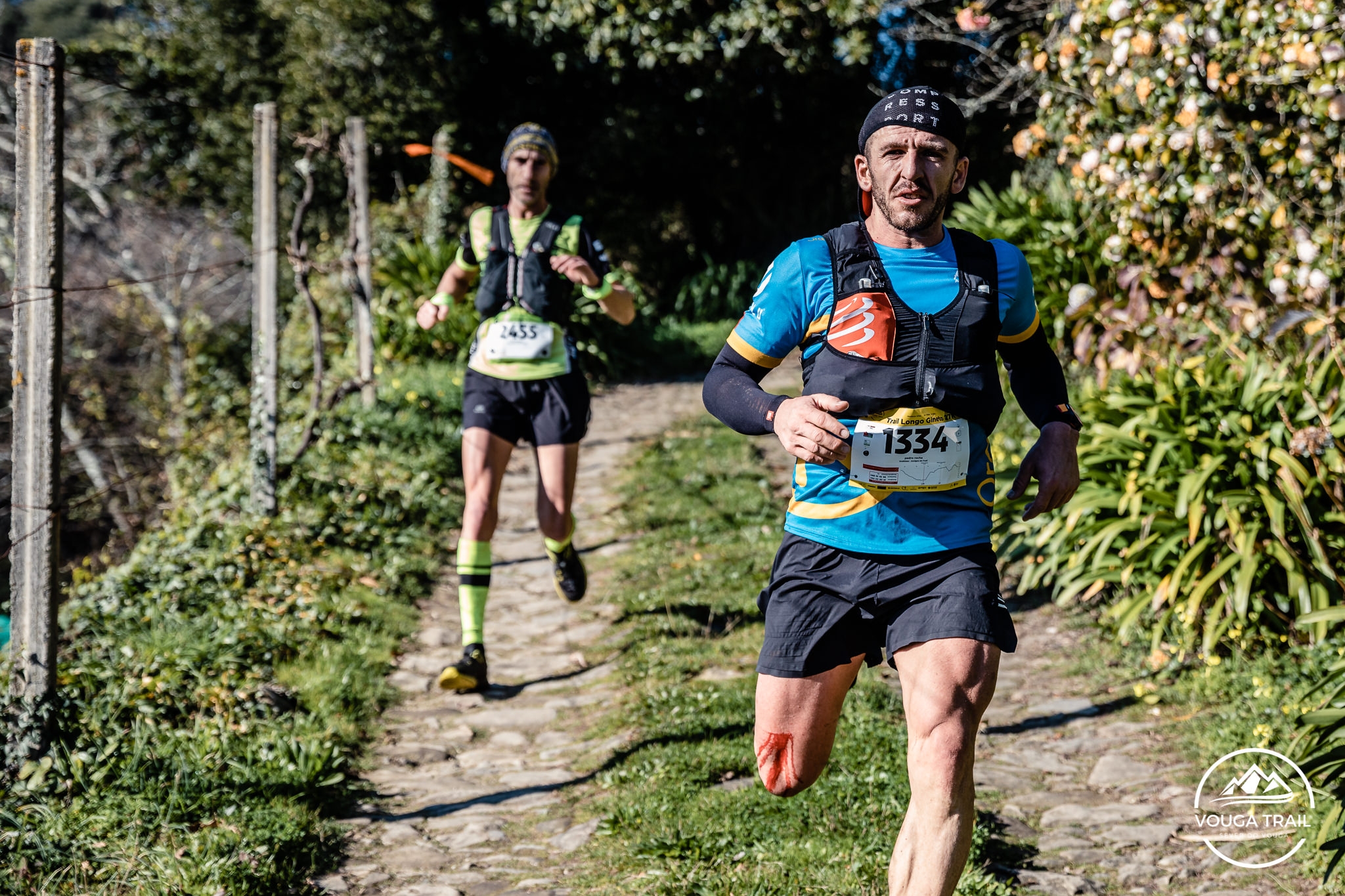 VOUGA TRAIL 2022 image