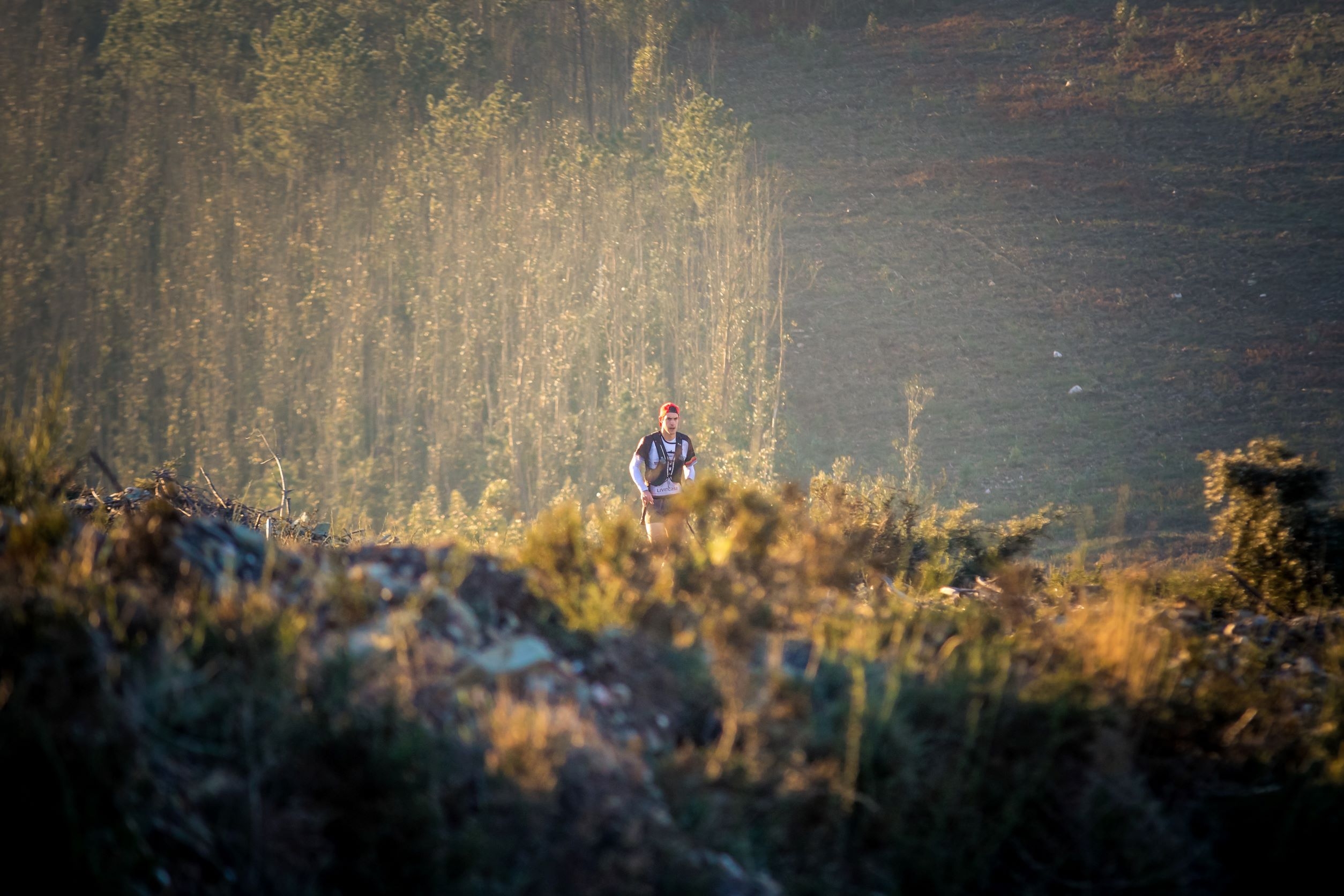 VOUGA TRAIL 2022 image