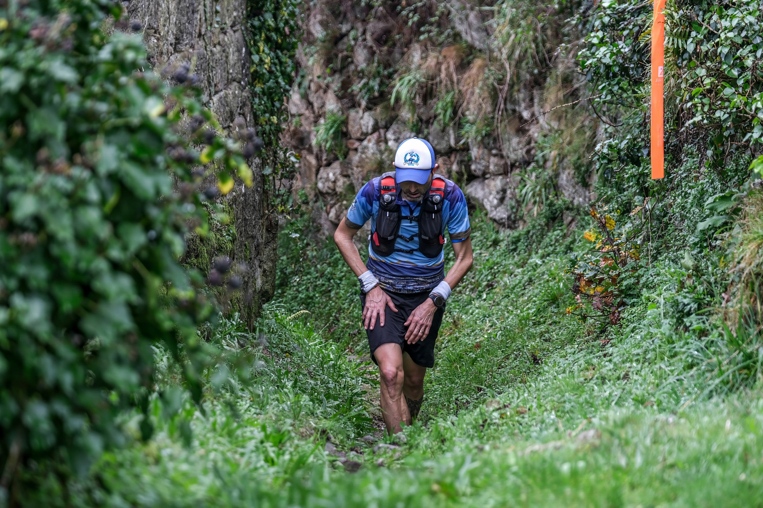 VOUGA TRAIL 2026 image