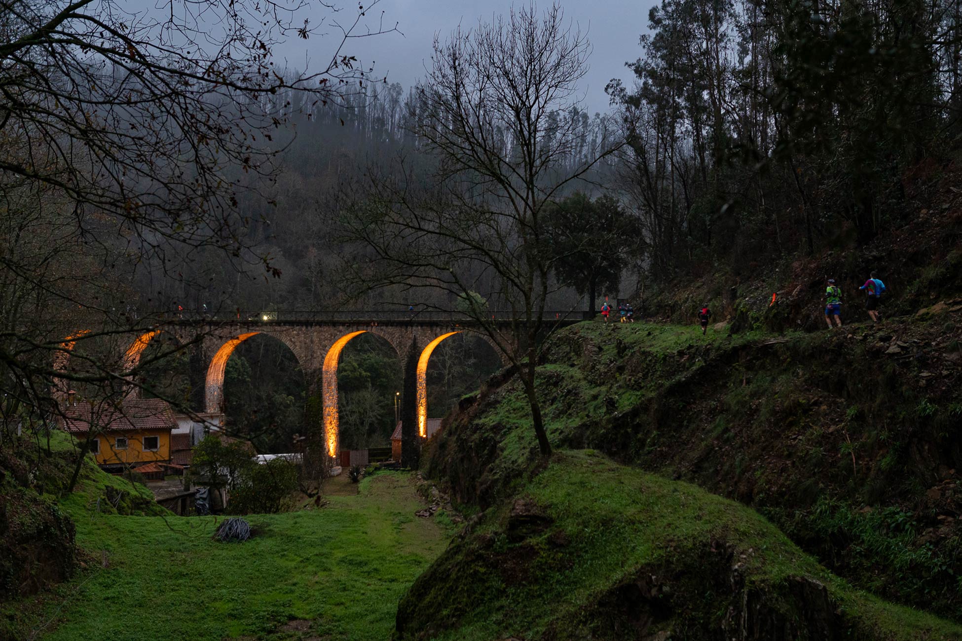 VOUGA TRAIL 2027 image