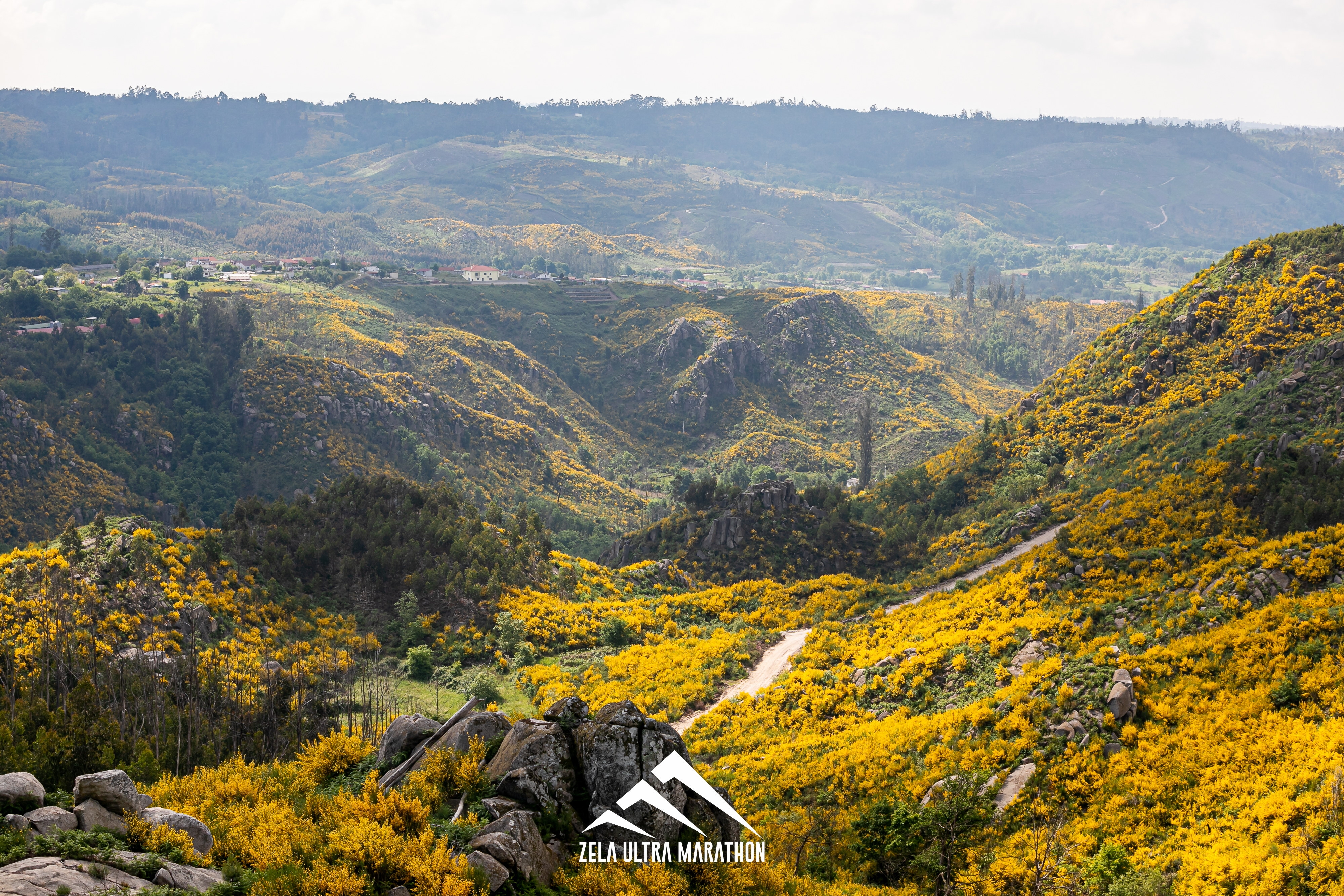 Zela Ultra Marathon 2022 image